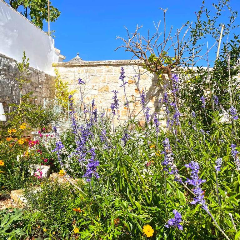 Trullo Aprìco - Casa Vacanze - 3