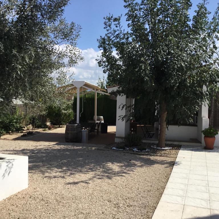 Relax en la huerta de Murcia - Villa - 21