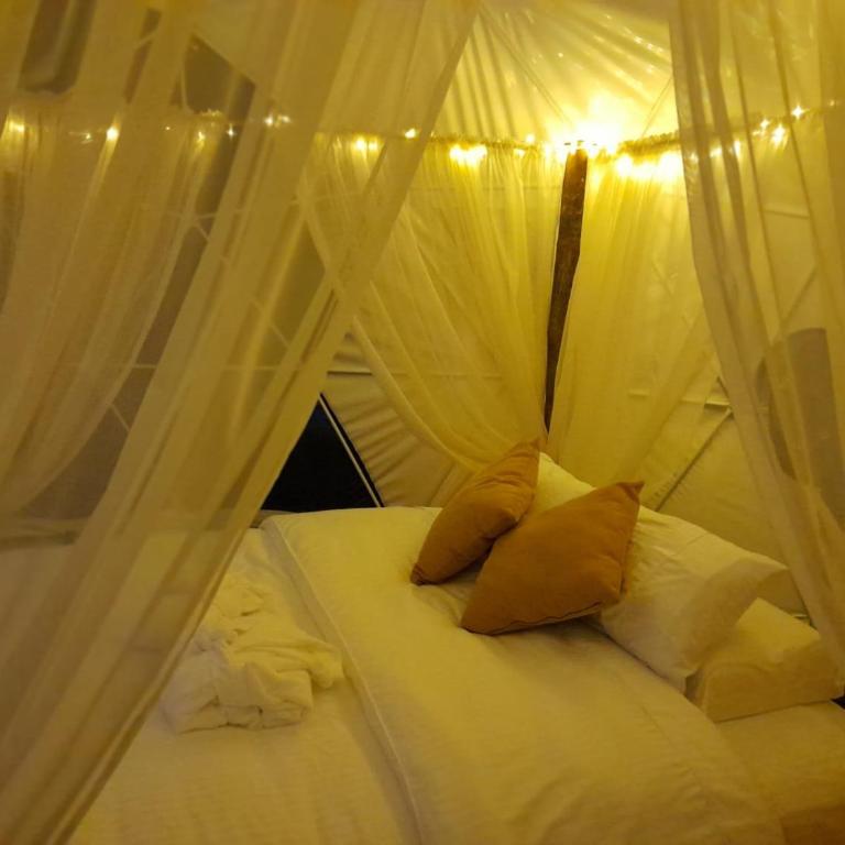 IslaMontaña Glamping - Isla Colibrí - 32