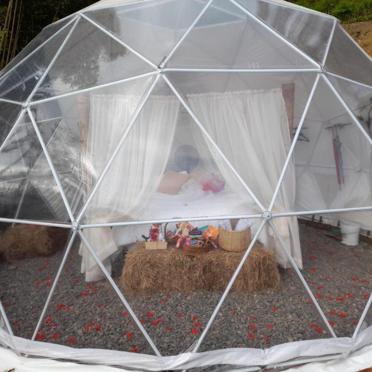 IslaMontaña Glamping - Isla Colibrí - 41