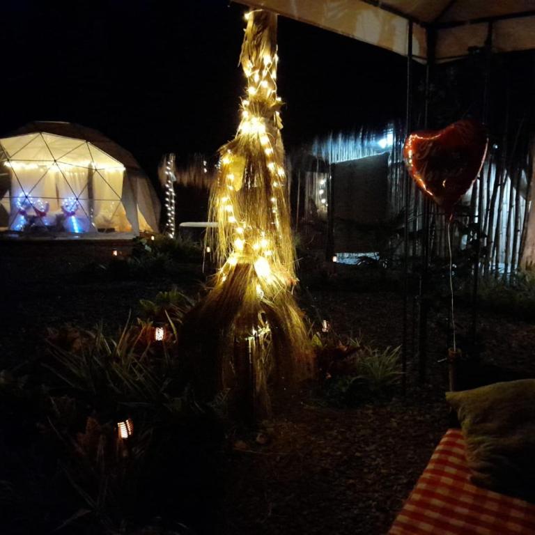 IslaMontaña Glamping - Isla Colibrí - 55