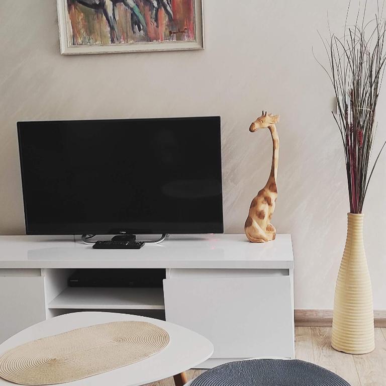 Apartmani MIBOR - Deluxe Apartment - 11