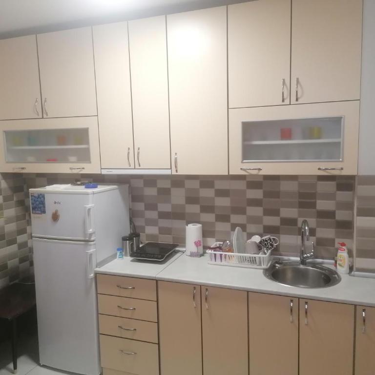 Apartmens Natali - Deluks Apartman - 14