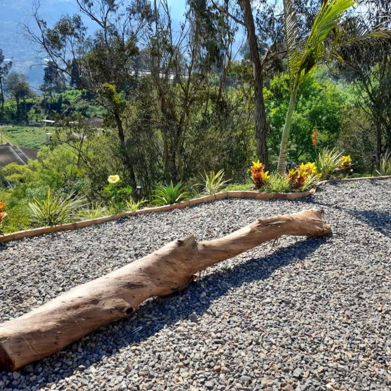 IslaMontaña Glamping - Isla Colibrí - 34