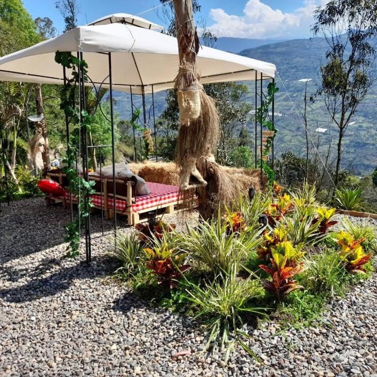 IslaMontaña Glamping - Isla Colibrí - 33