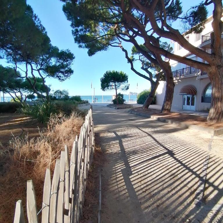 FABULEUX T2 Les Lecques - Carré d'Or - Terrasse & Jardin - 250m Plage - Appartement 1 Chambre - 20