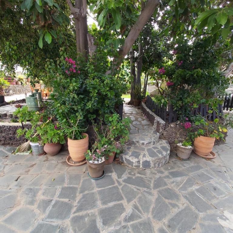 Finca Paraiso Casa Rural Tenerife Ecoturismo - Casa con 1 dormitorio - 30