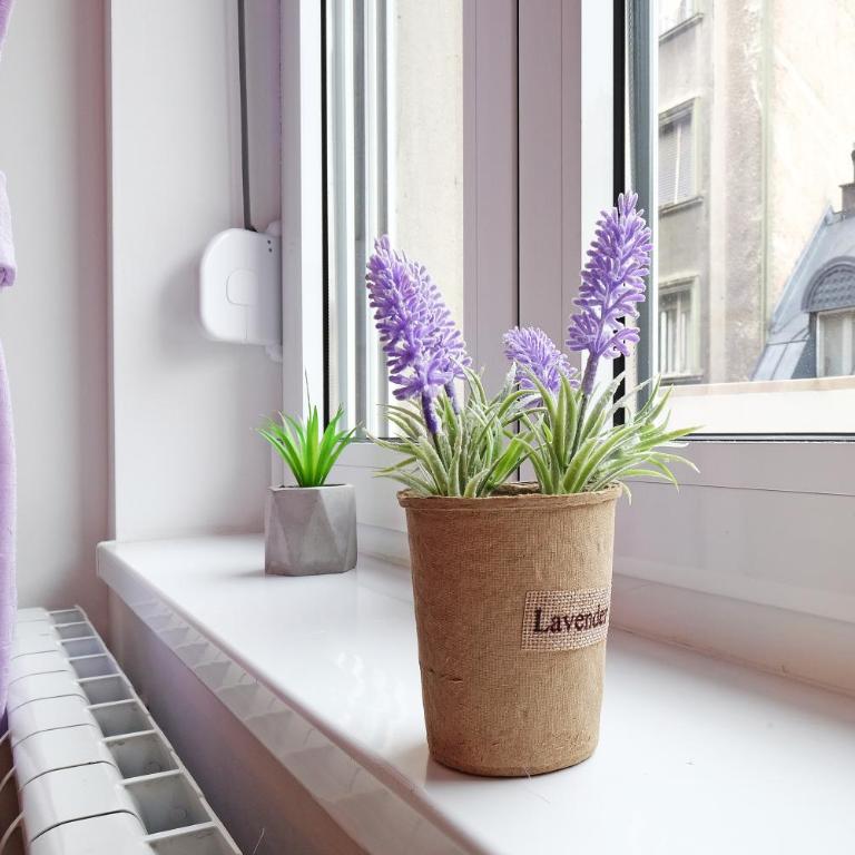 ZEN City Center Apartment & Garage nearby - Apartman sa 2 Spavaće Sobe - 10