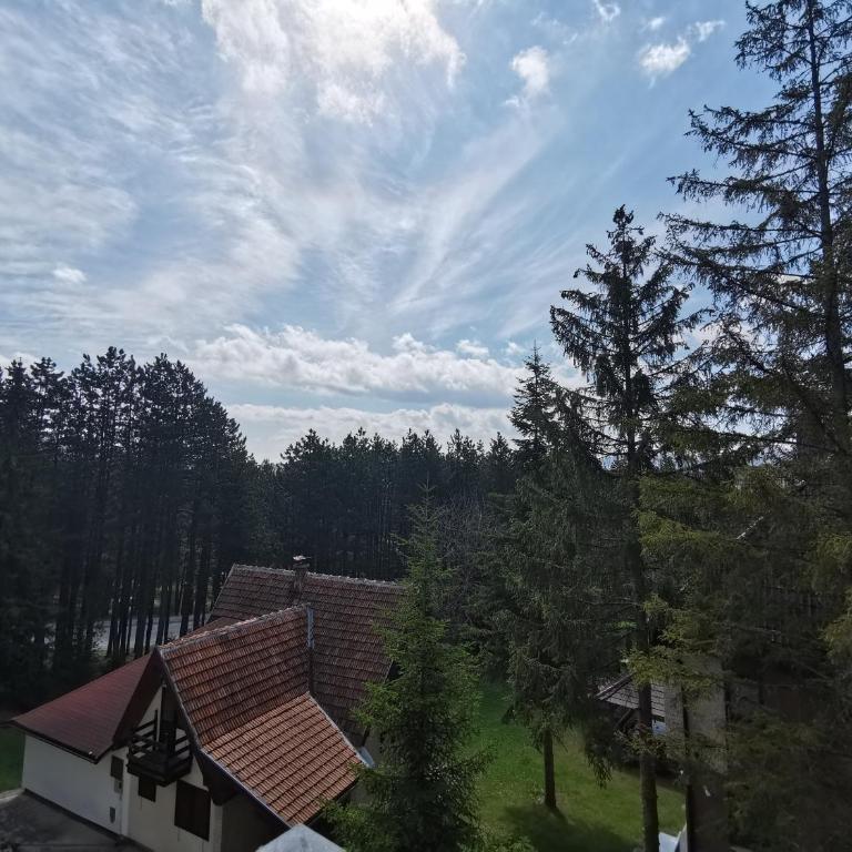 Apartman Jevtic Zlatibor - Apartman sa 1 Spavaćom Sobom - 4