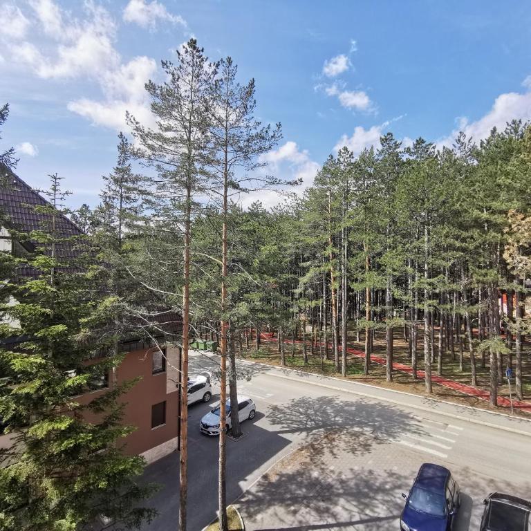 Apartman Jevtic Zlatibor - Apartman sa 1 Spavaćom Sobom - 2