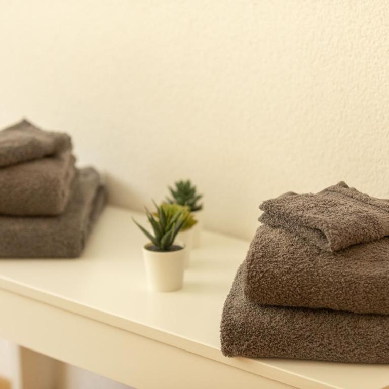 Apartments Saasunia - Deluxe Apartment mit 3 Schlafzimmern - 2