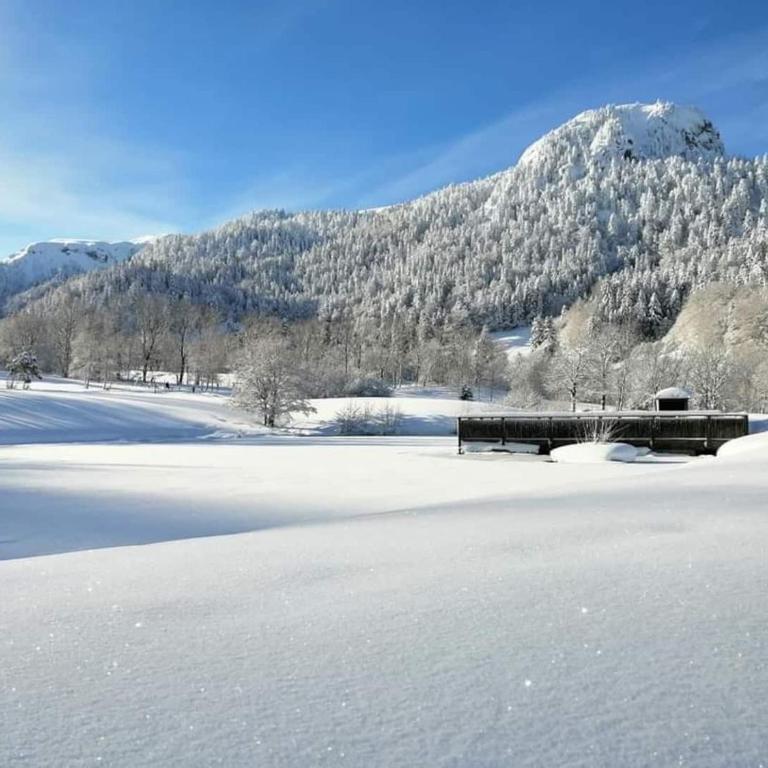 Chalet des cascades - Chalet 2 Chambres - 25