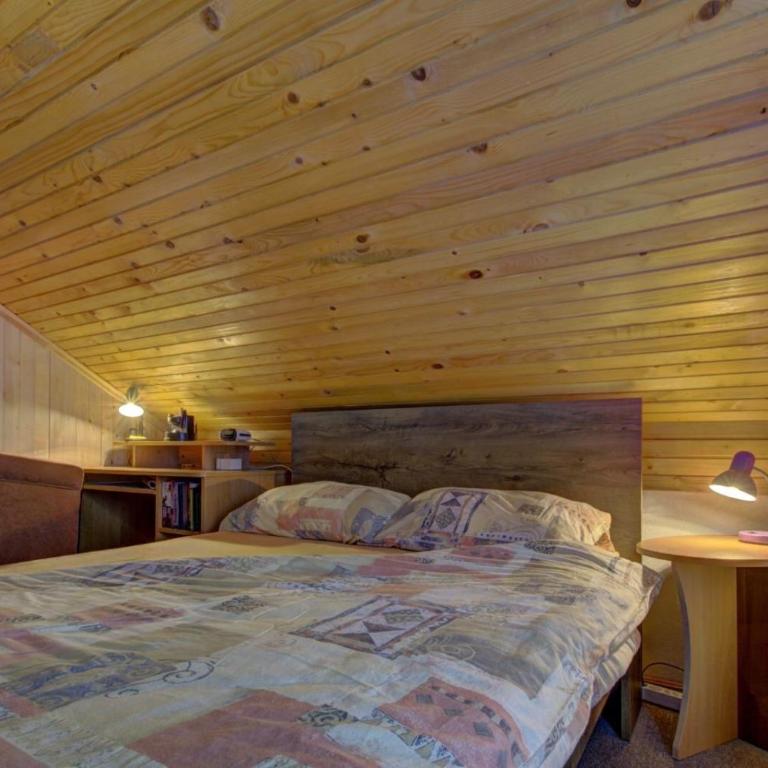 Planinska kuća Kamin - Chalet - 9