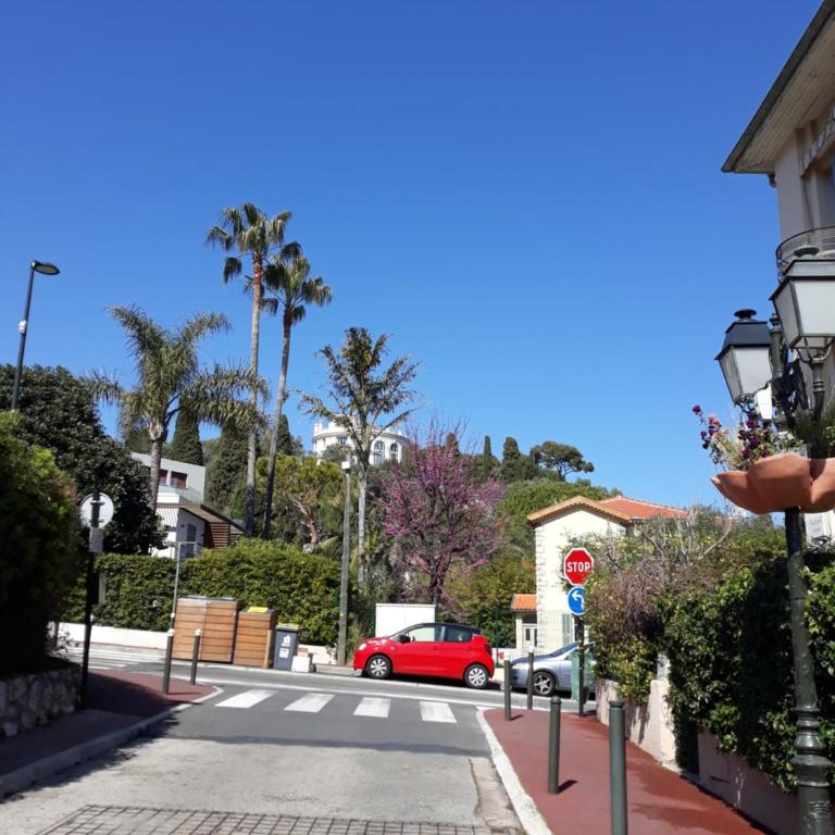 Beauty - Apartamento - 1