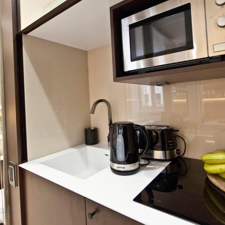 Belgrade's 1st class apartment, Stari Grad - Apartman sa 1 Spavaćom Sobom - 15