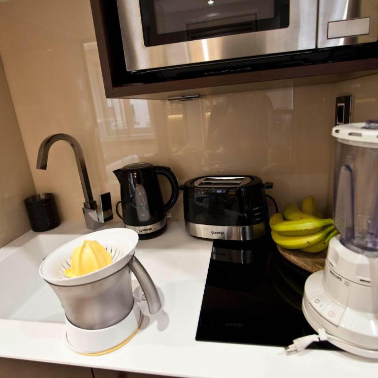 Belgrade's 1st class apartment, Stari Grad - Apartman sa 1 Spavaćom Sobom - 18