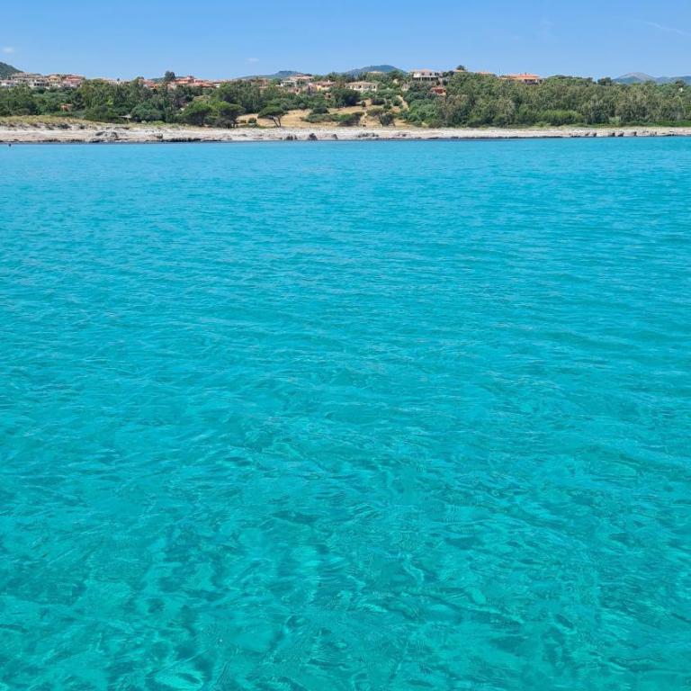 Villa vista pineta - 90 mt dalla spiaggia - Appartamento con Vista Giardino - 61