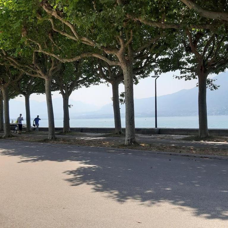 Appartement 55m, séjour, chambre, cuisine, jardin et parking privatifs - Apartment mit Terrasse - 23