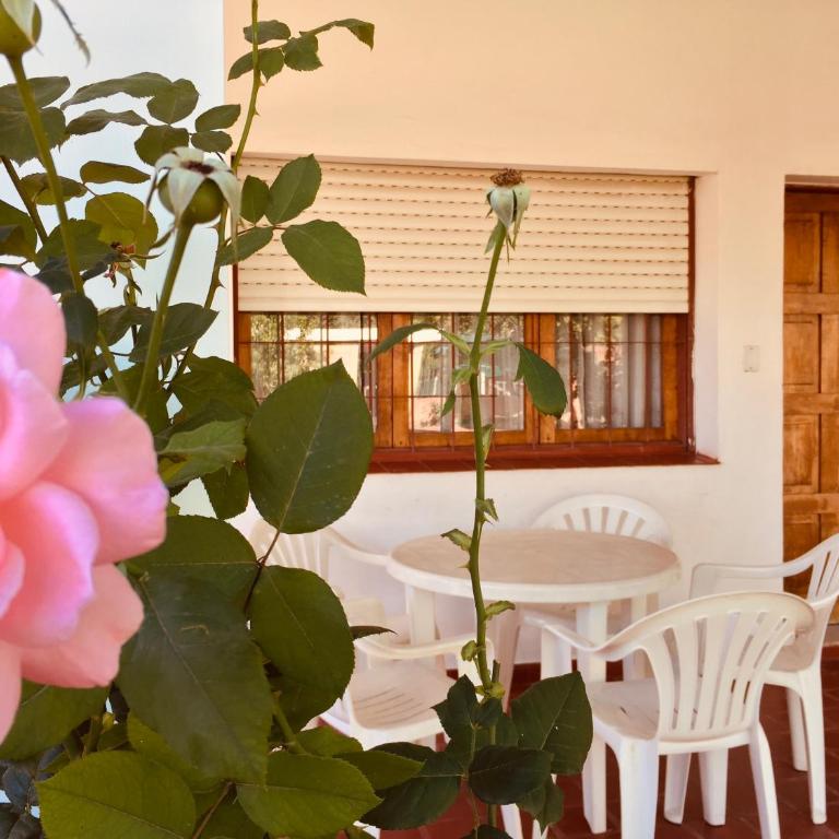 Aoniken Cabañas - Casa - 2