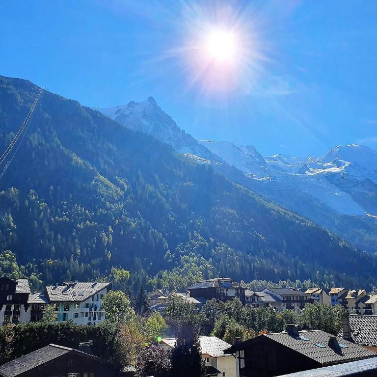 Duplex avec sauna et vue Mont Blanc au centre de Chamonix - Apartamento de 2 dormitorios con vistas a la montaña - 1