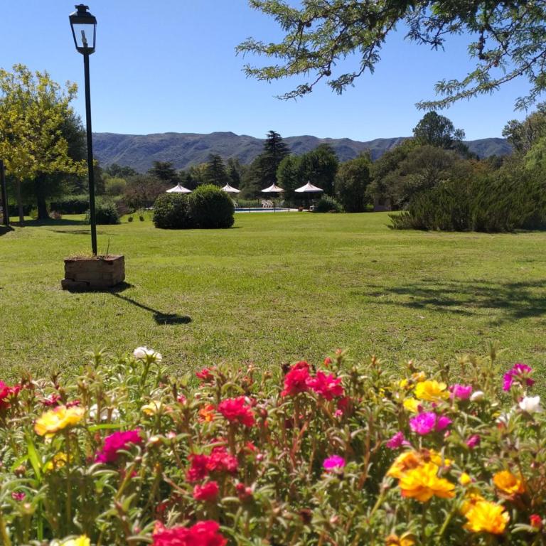 Cabañas Calicanto - Casa de 2 dormitorios - 7
