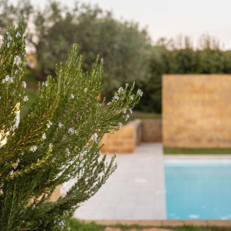 Helorus Noto - Zagara Bianca - Casa con 2 Camere da Letto - 34