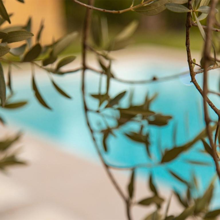 Helorus Noto - Zagara Bianca - Casa con 2 Camere da Letto - 35