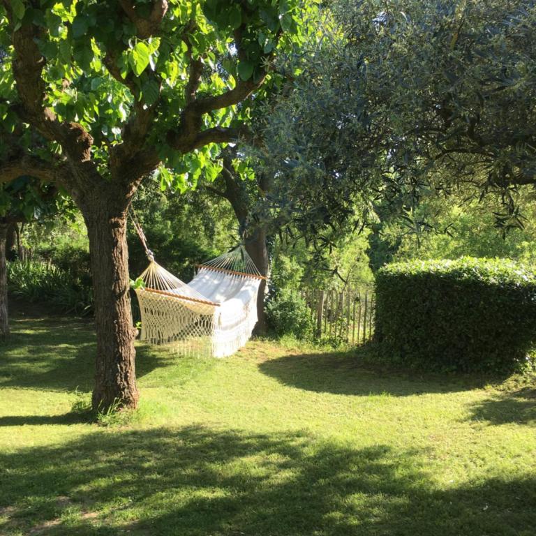 la maison des Olivettes - Chambre Double - Vue sur Jardin - 7