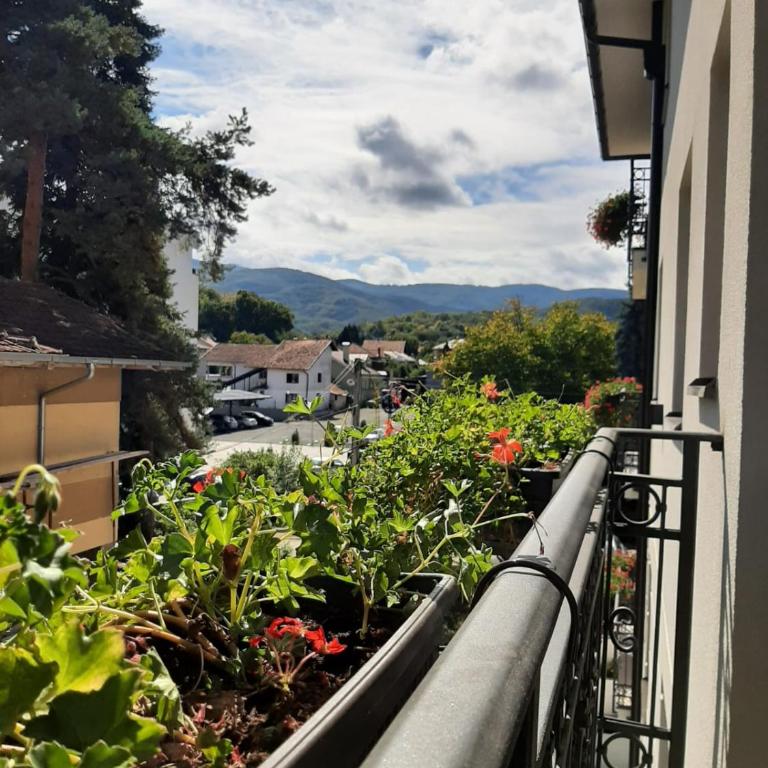 Apartman Hedonist - Apartman sa 1 Spavaćom Sobom - 21