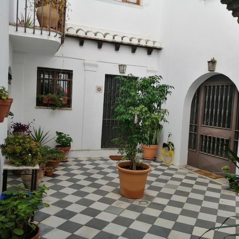 La Guarida de Vejer - Apartamento - 10