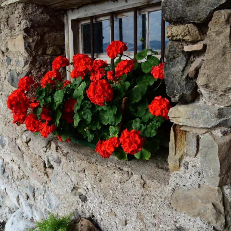 Ritschhof - Appartamento con Balcone - 33