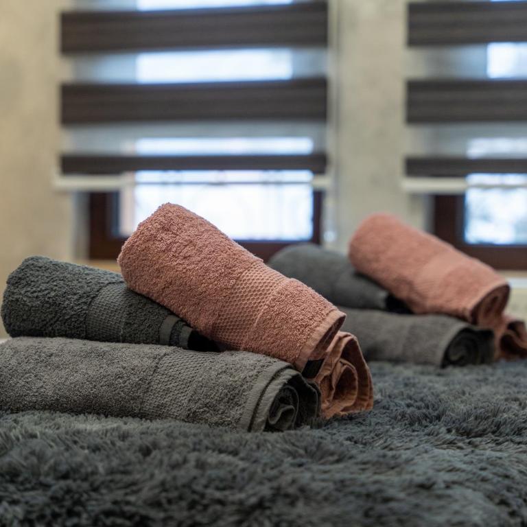 LUX TRAJKOVIC ZLATIBOR - One-Bedroom Apartment - 25