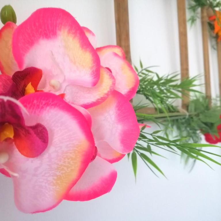 Le 1965 Double BALNEO, confort et romantique - Appartement 1 Chambre - 3