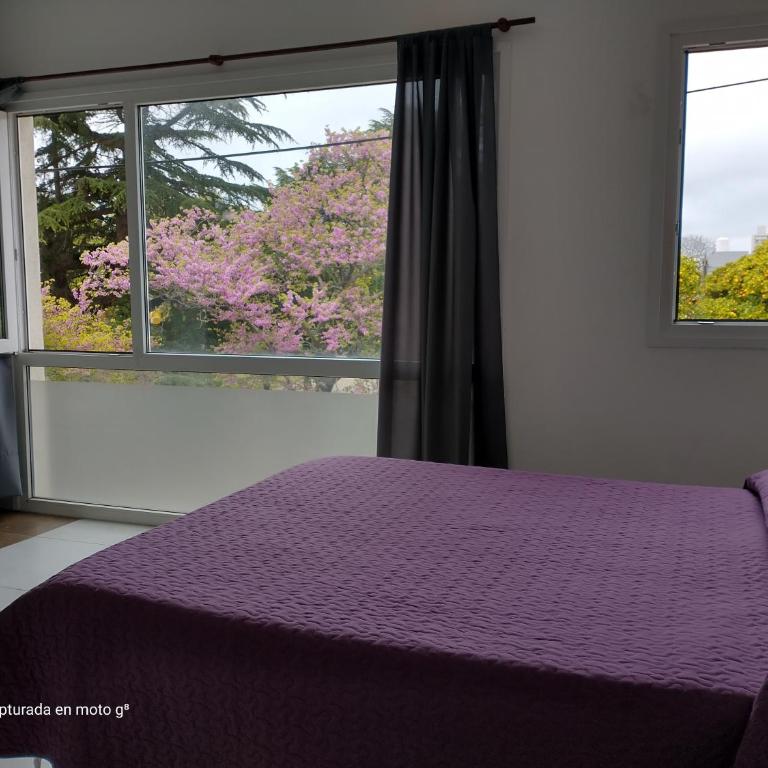 Departamento Serrano - Apartamento de 1 dormitorio - 7