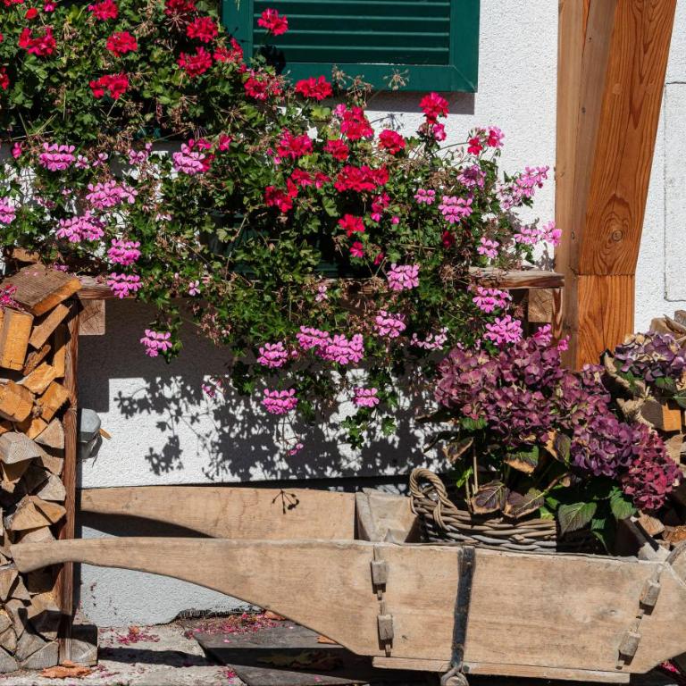 Ferienwohnung Flora Altaussee - Your Austrian Home - Appartement 2 Chambres - 4