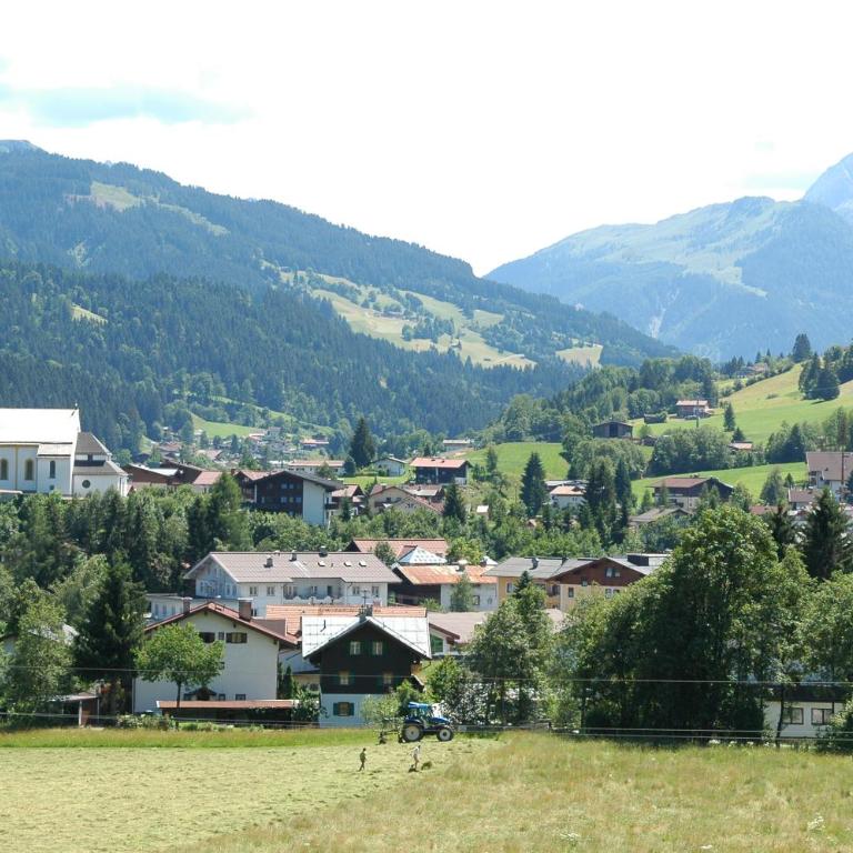 Deluxe Apartment Bergsicht - Kirchberg Center - Deluxe Apartment - 29