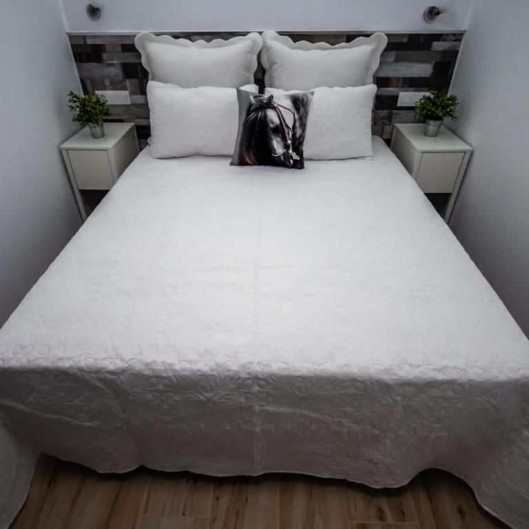 Los Elefantes Apartment - Apartamento de 1 dormitorio - 19