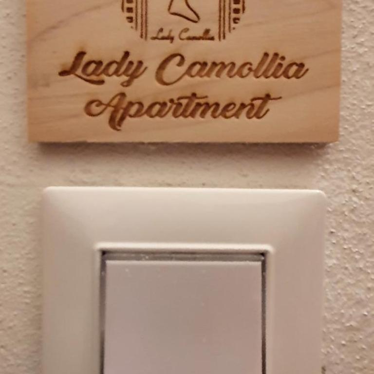 Lady Camollia Apartment - Three-Bedroom Apartment - 33