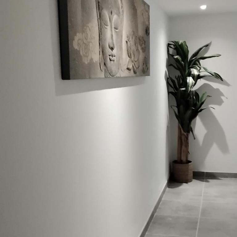 Villa Saint Clair - Villa - 21