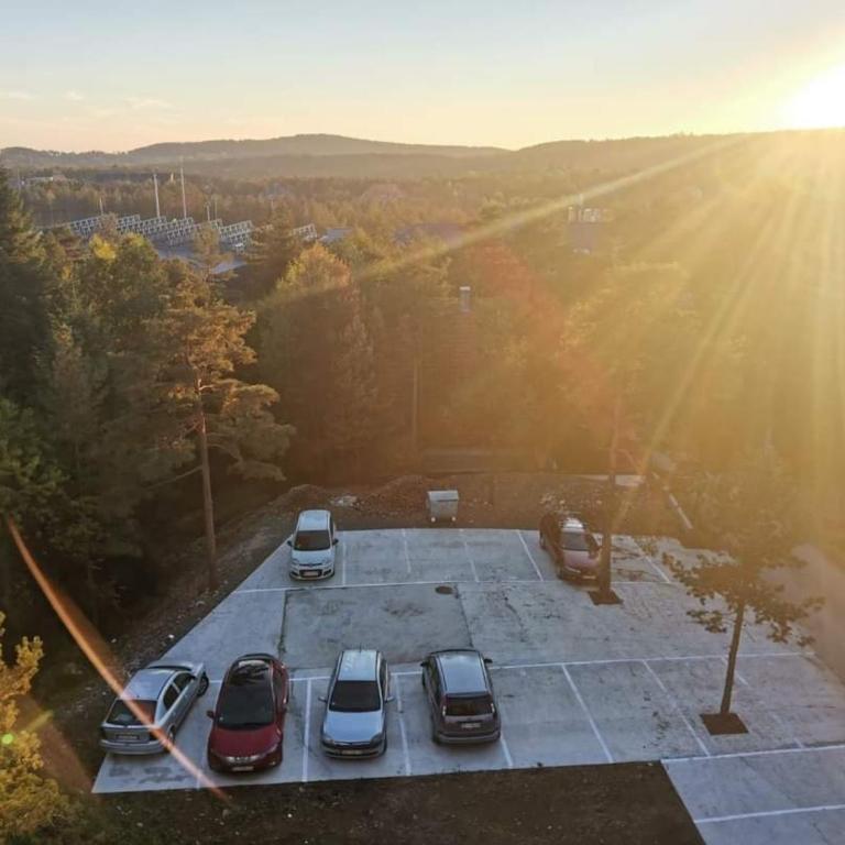 Divčibare Planinski mir A19 - Apartman sa 1 Spavaćom Sobom - 9