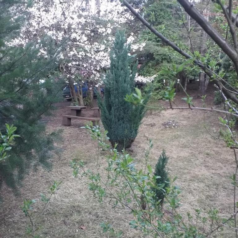 Nido del Quetrupillan Domo Geodésico - One-Bedroom House - 24