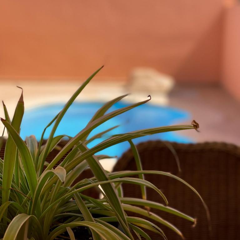 Villa Bajo El Mar - Three-Bedroom Villa - 10