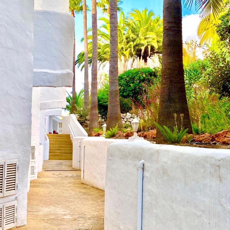 Casa de las Palmas - Apartamento de 2 dormitorios - 5