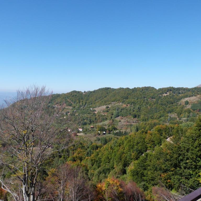L&N Apartmani Kopaonik-Milmari Resort - Apartment with Balcony - 7