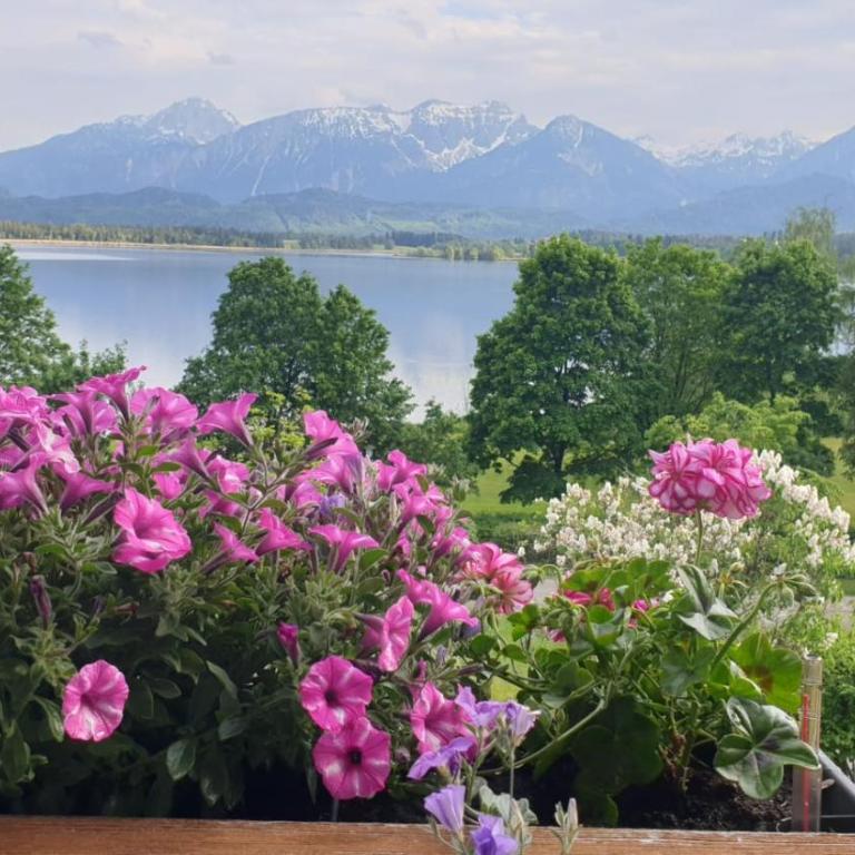 Landhaus Amberg Hopfen am See // Hopfensee // Füssen - Apartment mit 1 Schlafzimmer - 10