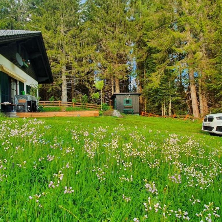 Alpenchalet im Steirischen Salzkammergut - Haus mit 2 Schlafzimmern - 7