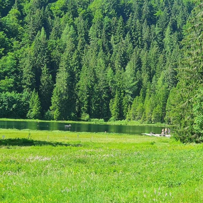 Alpenchalet im Steirischen Salzkammergut - Haus mit 2 Schlafzimmern - 72