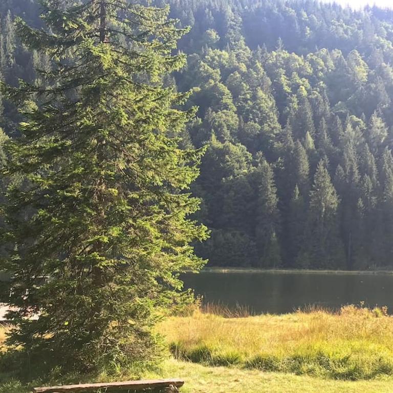 Alpenchalet im Steirischen Salzkammergut - Haus mit 2 Schlafzimmern - 76
