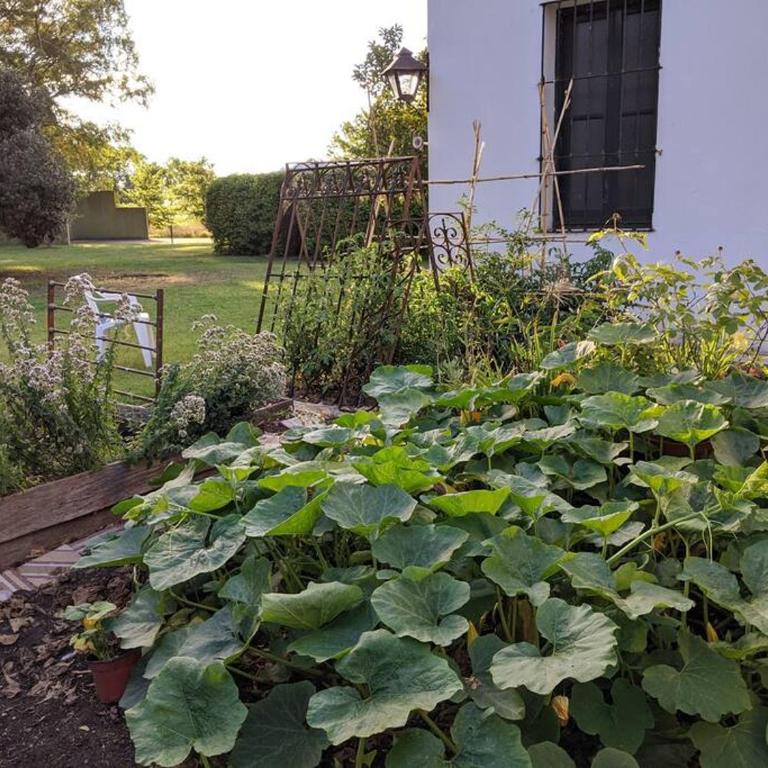 Estancia La Aurora, en Provincia de Buenos Aires - Villa - 24