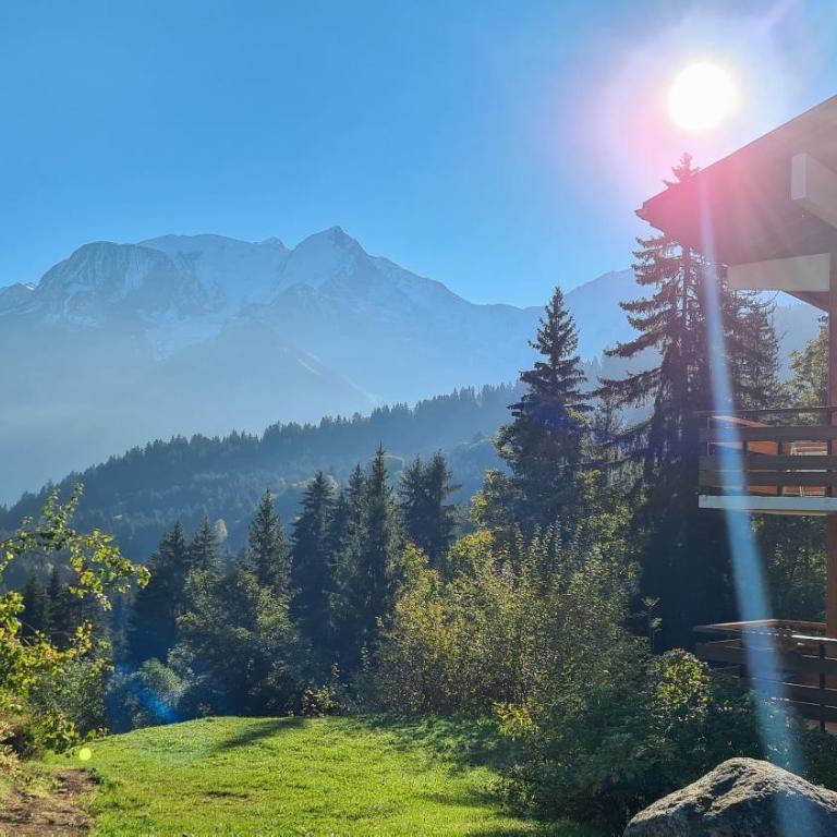 Charmant Studio vue montagne - ski, piscine, tennis, randonnées - Studio mit Bergblick - 12